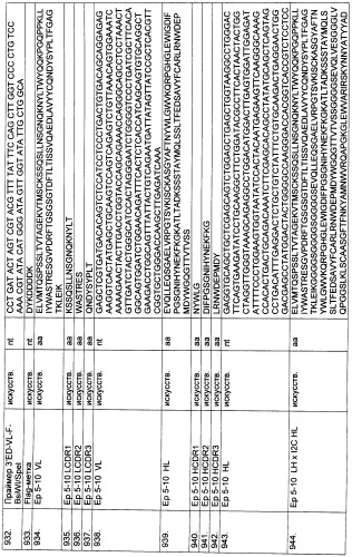 Pscaxcd3, cd19xcd3, c-metxcd3, эндосиалинxcd3, epcamxcd3, igf-1rxcd3 или fap-альфаxcd3 биспецифическое одноцепочечное антитело с межвидовой специфичностью (патент 2547600)