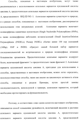 Растения с повышенной урожайностью и способ их получения (патент 2377306)