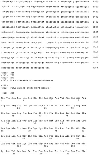 Psma×cd3 биспецифическое одноцепочечное антитело с межвидовой специфичностью (патент 2559531)