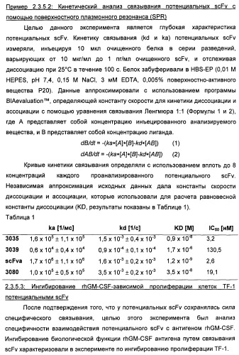 Антитела-нейтрализаторы гранулоцитарно-макрофагального колониестимулирующего фактора человека (патент 2458071)