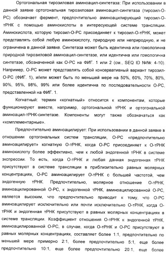 Селективная посттрансляционная модификация экспонируемых фагами полипептидов (патент 2459866)
