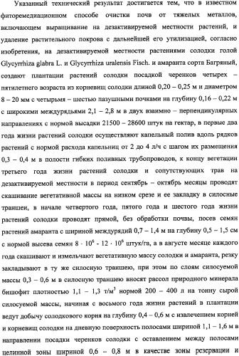 Фиторемедиационный способ очистки почв от тяжелых металлов (патент 2338353)