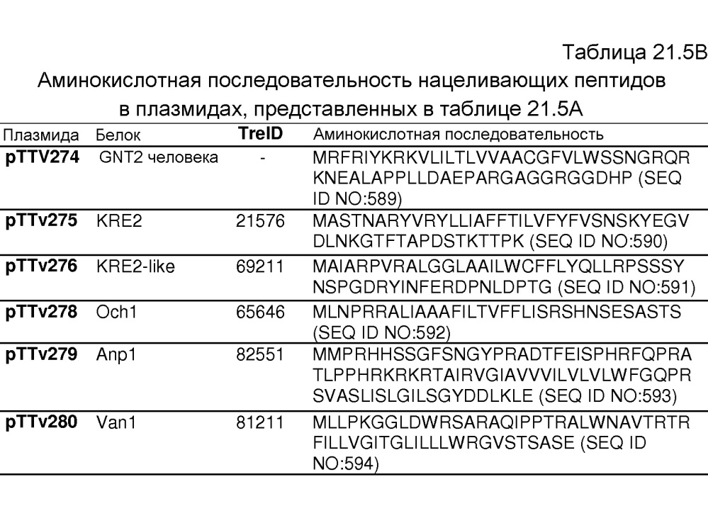 Клетка нитчатых грибов с дефицитом протеаз и способы ее применения (патент 2645252)