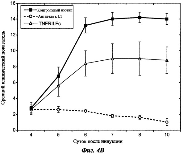 Антитела к лимфотоксину-альфа (патент 2486201)