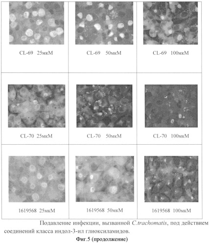 Применение индол-3-ил-глиоксиламидов для подавления хламидийной инфекции (патент 2493259)