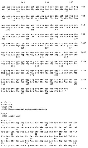 Гены grg23 и grg51, придающие устойчивость к гербицидам (патент 2393225)