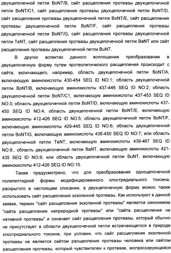 Способы лечения мочеполовых-неврологических расстройств с использованием модифицированных клостридиальных токсинов (патент 2491086)