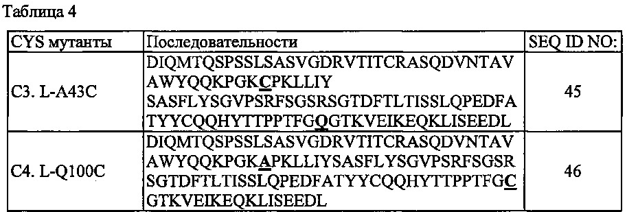 Библиотека fv на основе комбинаций белков и способ ее получения (патент 2639505)