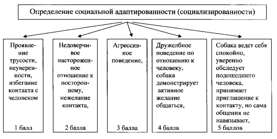 Способ определения рабочих качеств служебных собак (патент 2621382)