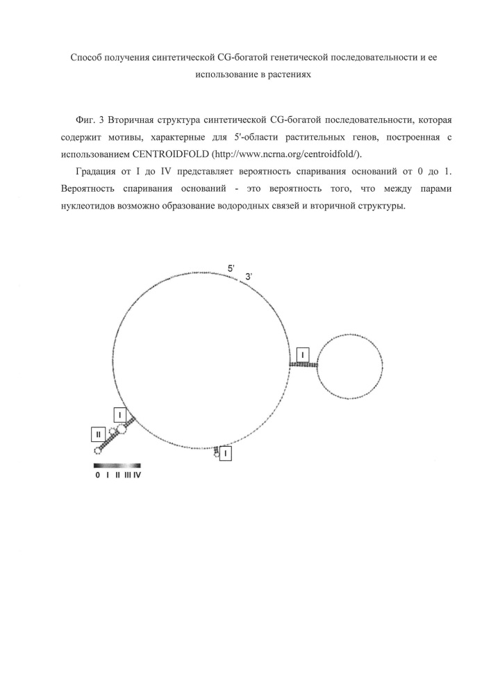 Способ получения синтетической cg-богатой генетической последовательности и ее использование в растениях (патент 2630650)