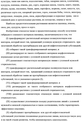 Способ избирательного получения растений с мужской или женской стерильностью (патент 2320722)