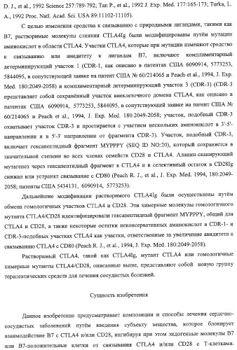Способ лечения сердечно-сосудистого заболевания с применением растворимого ctla4 (патент 2353384)