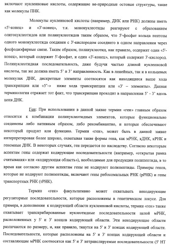 Система экспрессии компонентов ортогональной трансляции в эубактериальной клетке-хозяине (патент 2467069)