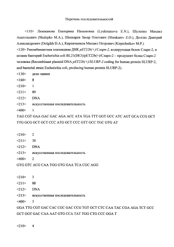 Рекомбинантная плазмидная днк pet22b(+)/slurp-2, кодирующая белок slurp-2, и штамм бактерий escherichia coli bl21(de3) pet22b(+)/slurp-2- продуцент белка slurp-2 человека (патент 2583307)