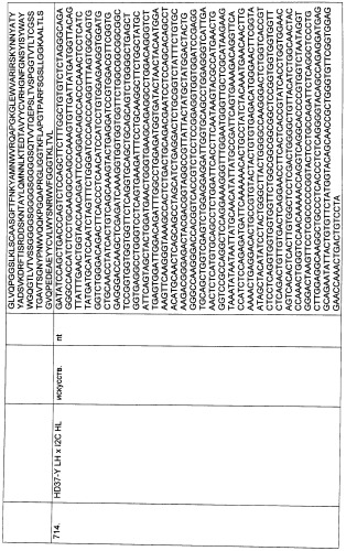 Pscaxcd3, cd19xcd3, c-metxcd3, эндосиалинxcd3, epcamxcd3, igf-1rxcd3 или fap-альфаxcd3 биспецифическое одноцепочечное антитело с межвидовой специфичностью (патент 2547600)