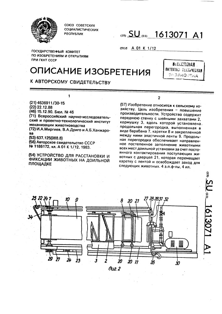 Устройство для расстановки и фиксации животных на доильной площадке (патент 1613071)