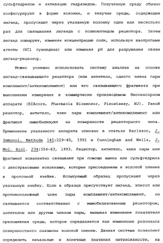 Новый лиганд рецептора цитокина zcytor17 (патент 2360923)