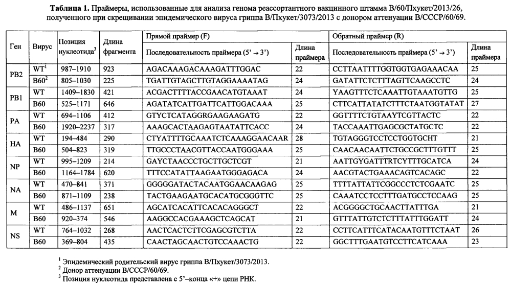 Штамм вируса гриппа в/60/пхукет/2013/26 для производства живой гриппозной интраназальной вакцины для взрослых и для детей (патент 2605926)