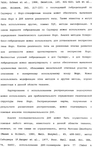 Поликлональное антитело против nogo, фармацевтическая композиция и применение антитела для изготовления лекарственного средства (патент 2432364)