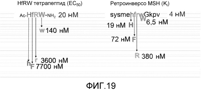 Пептидные аналоги альфа-меланоцитстимулирующего гормона (патент 2496786)