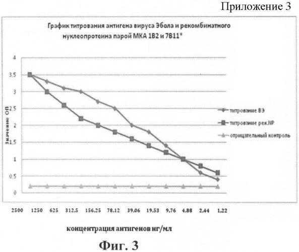 Штамм гибридных клеток животного mus musculus l.1b2 - продуцент моноклональных антител для выявления нуклеопротеина вируса эбола, субтип заир (штамм mainga) (варианты), моноклональное антитело, продуцируемое штаммом (варианты), набор для иммуноферментной тест-системы формата &quot;сэндвич&quot; для выявления нуклеопротеина вируса эбола, субтип заир (штамм mainga) (патент 2395576)