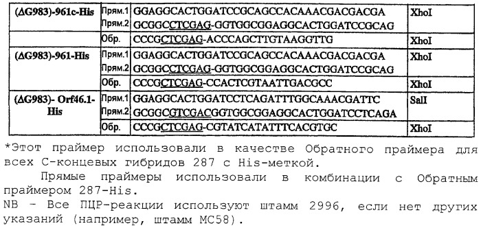 Гибридная экспрессия белков neisseria (патент 2304617)