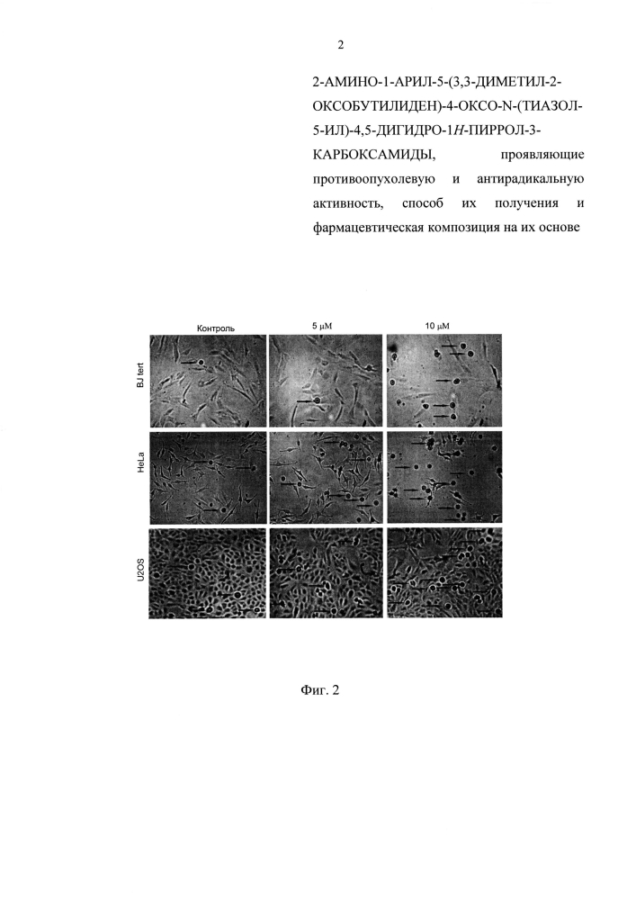 2-амино-1-арил-5-(3,3-диметил-2-оксобутилиден)-4-оксо-n-(тиазол-5-ил)-4,5-дигидро-1н-пиррол-3-карбоксамиды, проявляющие противоопухолевую и антирадикальную активность, способ их получения и фармацевтическая композиция на их основе (патент 2605091)