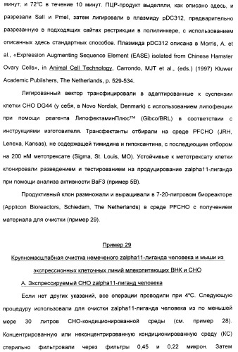 Выделенный полипептид, связывающий рецептор zalpha11-лиганда (варианты), кодирующий его полинуклеотид (варианты), вектор экспрессии (варианты) и клетка-хозяин (варианты) (патент 2346951)