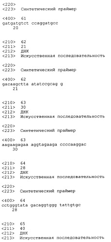 Трансгенные копытные животные, имеющие пониженную активность прионного белка, и их применения (патент 2384059)