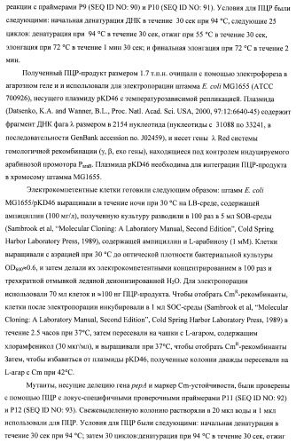 Бактерия семейства enterobacteriaceae - продуцент l-аспарагиновой кислоты или метаболитов, производных l-аспарагиновой кислоты, и способ получения l-аспарагиновой кислоты или метаблитов, производных l-аспарагиновой кислоты (патент 2472853)