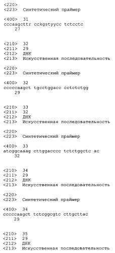 Трансгенные копытные животные, имеющие пониженную активность прионного белка, и их применения (патент 2384059)