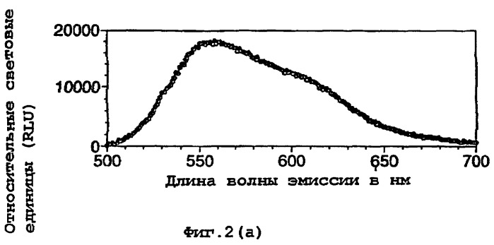 Рекомбинантная термостабильная люцифераза, способ ее получения, изолированная нуклеиновая кислота, экспрессирующий вектор, набор для использования в биолюминесцентном анализе, аналитический тест для определения присутствия в образце соа (патент 2251571)