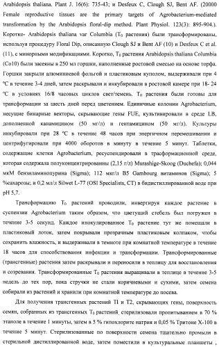 Изолированные полипептиды, кодирующие их полинуклеотиды, экспрессирующие их трансгенные растения и способы их использования (патент 2487166)