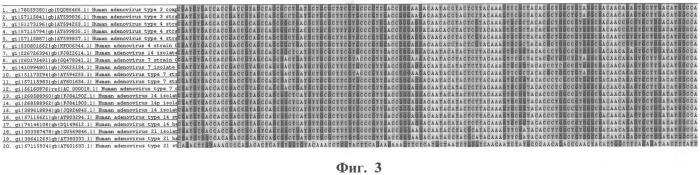 Набор олигодезоксирибонуклеотидных праймеров и флуоресцентно-меченого зонда для идентификации днк аденовируса серотипов 3,4,7,14,21 методом гибридизационно-флуоресцентной полимеразной цепной реакции (патент 2511043)