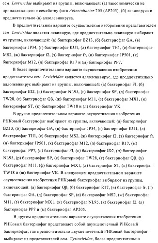 Упакованные иммуностимулирующей нуклеиновой кислотой частицы, предназначенные для лечения гиперчувствительности (патент 2451523)