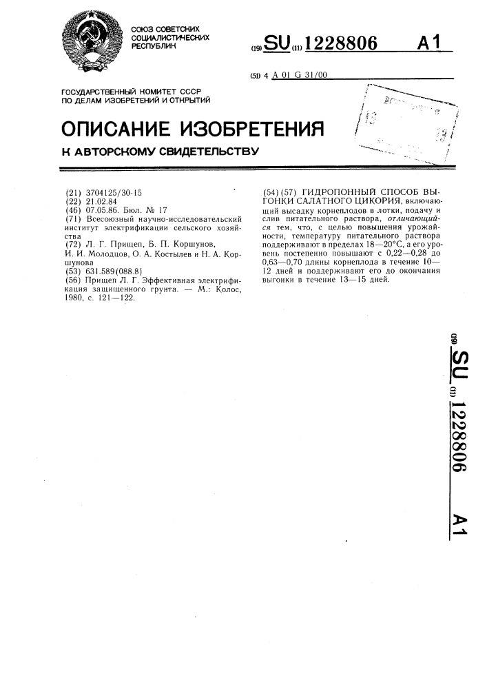 Гидропонный способ выгонки салатного цикория (патент 1228806)