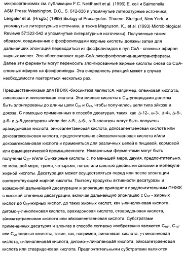 Способ получения полиненасыщенных жирных кислот в трансгенных растениях (патент 2449007)