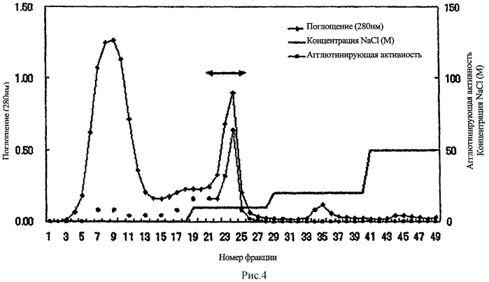 L-фукоза α1→6 специфичный лектин (патент 2524425)