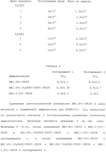 Scfv против egfrviii с улучшенной цитотоксичностью и выходом, иммунотоксины на их основе и способы их применения (патент 2317999)
