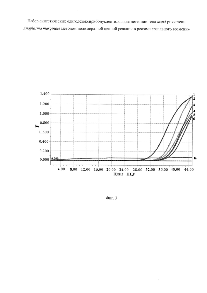 Набор синтетических олигодезоксирибонуклеотидов для детекции гена msp4 риккетсии anaplasma marginale методом полимеразной цепной реакции в режиме "реального времени" (патент 2595427)