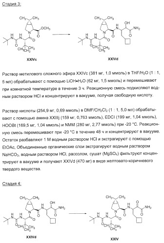 Новые пептиды как ингибиторы ns3-серинпротеазы вируса гепатита c (патент 2404189)