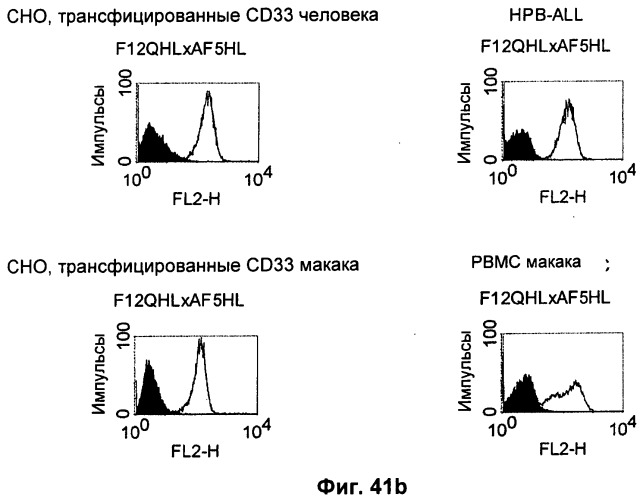 Pscaxcd3, cd19xcd3, c-metxcd3, эндосиалинxcd3, epcamxcd3, igf-1rxcd3 или fap-альфаxcd3 биспецифическое одноцепочечное антитело с межвидовой специфичностью (патент 2547600)