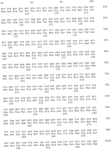 Гомологи фосфатазы фосфатидной кислоты и их применение (патент 2507264)