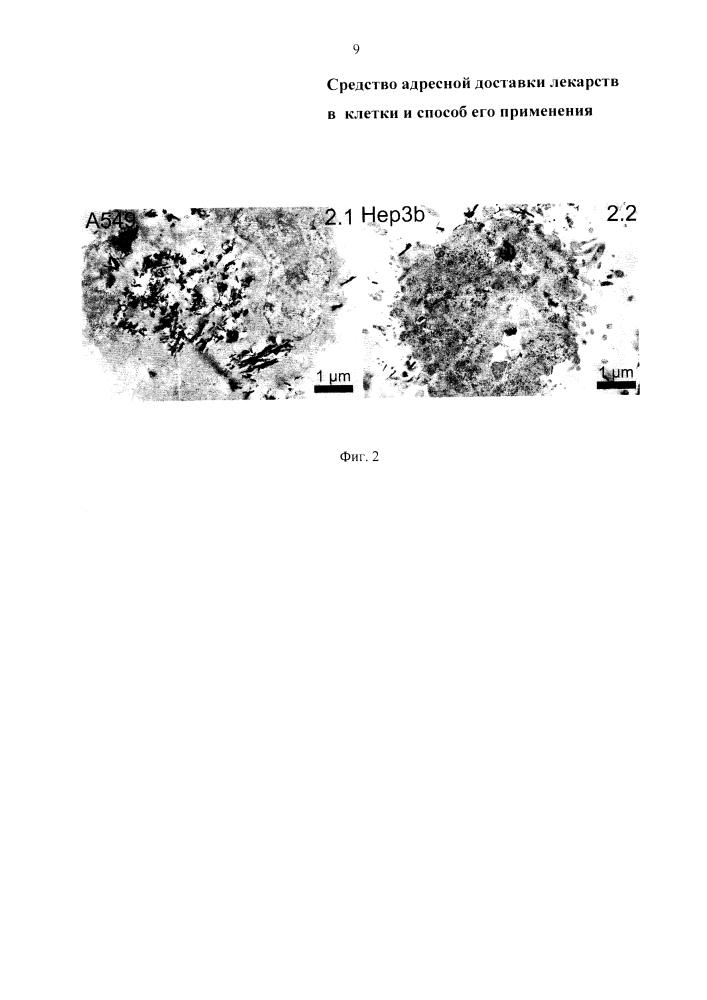 Средство адресной доставки лекарств в клетки и способ его применения (патент 2602299)