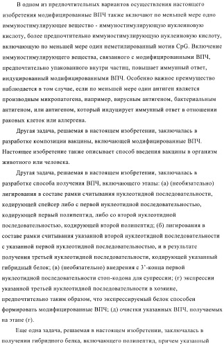 Вирусоподобные частицы, включающие гибридный белок белка оболочки бактериофага ар205 и антигенного полипептида (патент 2409667)