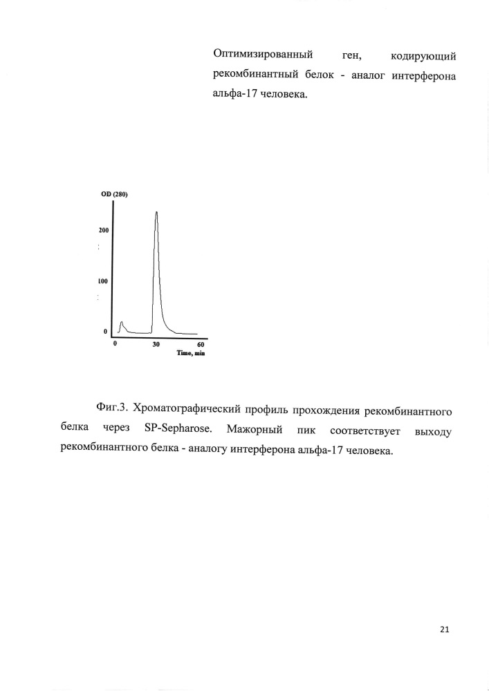 Оптимизированный ген, кодирующий рекомбинантный белок - аналог интерферона альфа-17 человека (патент 2620073)