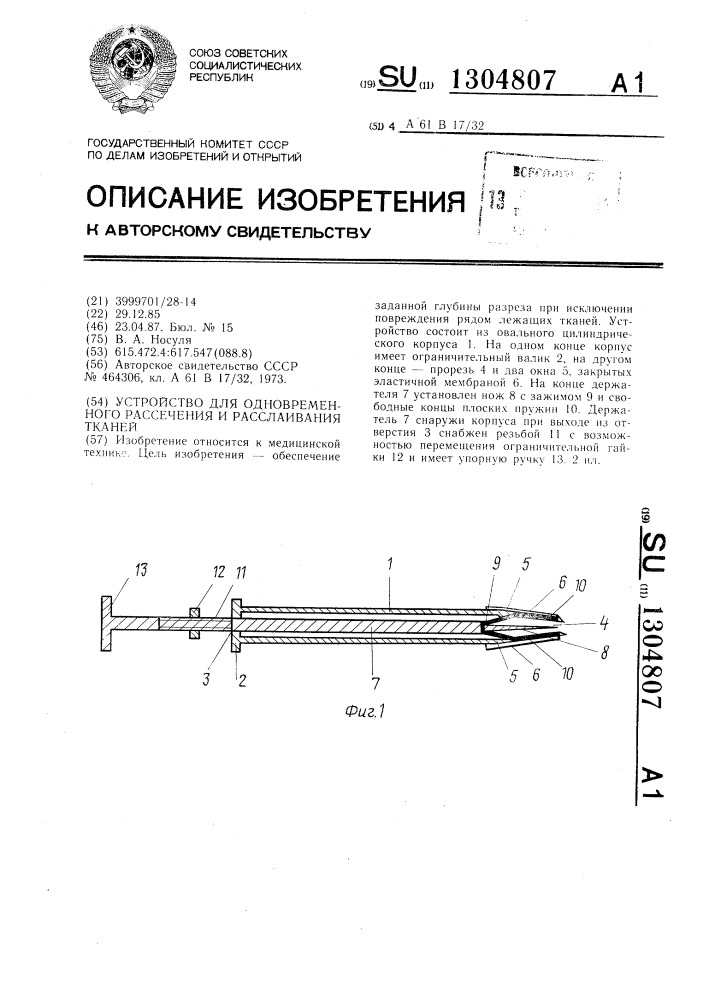 Устройство для одновременного рассечения и расслаивания тканей (патент 1304807)