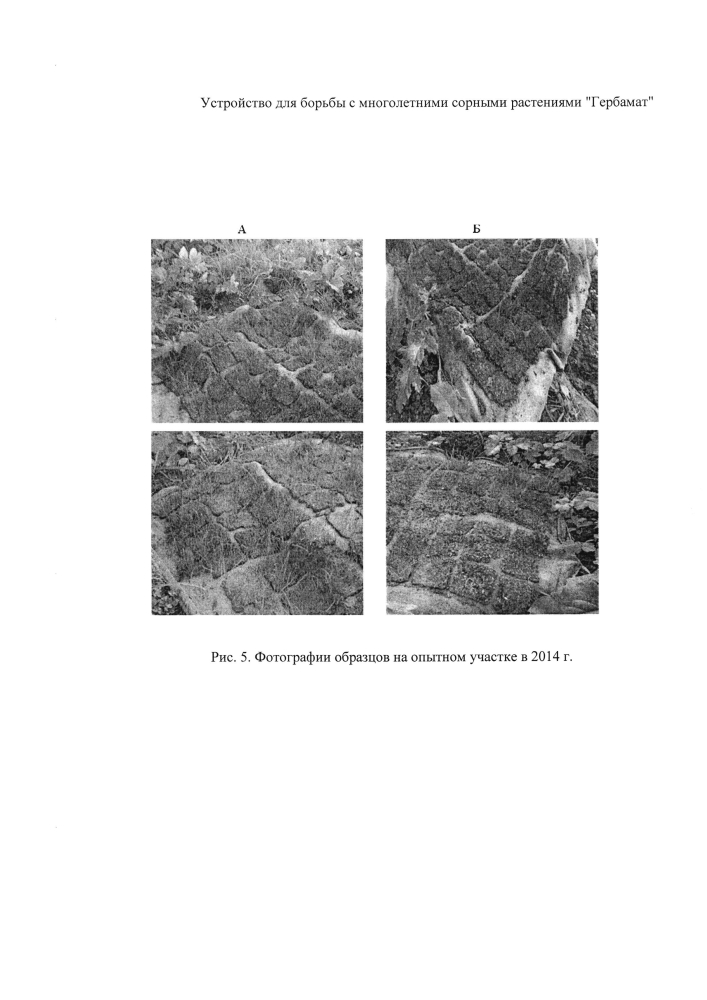 Способ борьбы с многолетними сорными растениями (патент 2594517)