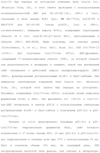 Антитела против вируса гепатита с (патент 2462475)