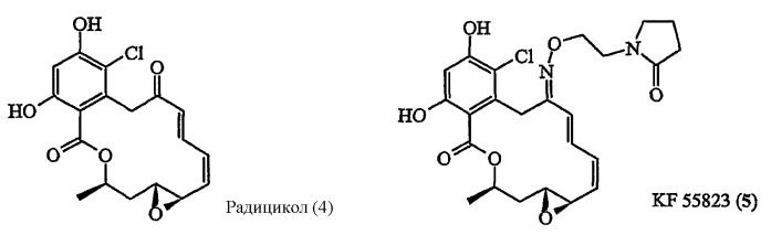 Новые производные изоиндолов, композиции, содержащие их, их получение и фармацевтическое применение, в частности в качестве ингибиторов активности белка-шаперона hsp90 (патент 2375361)